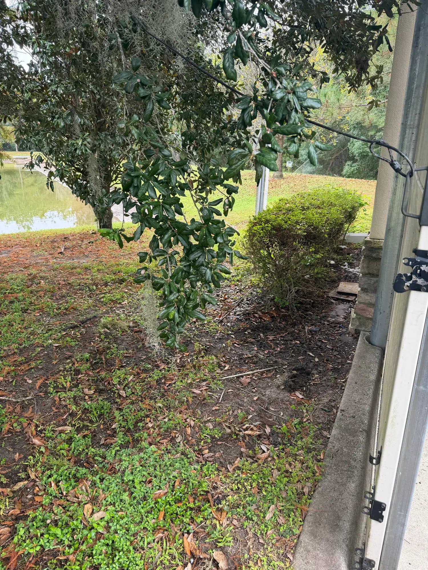 After: the same Ocoee, FL side yard with the couch and loveseat gone, ten minutes later