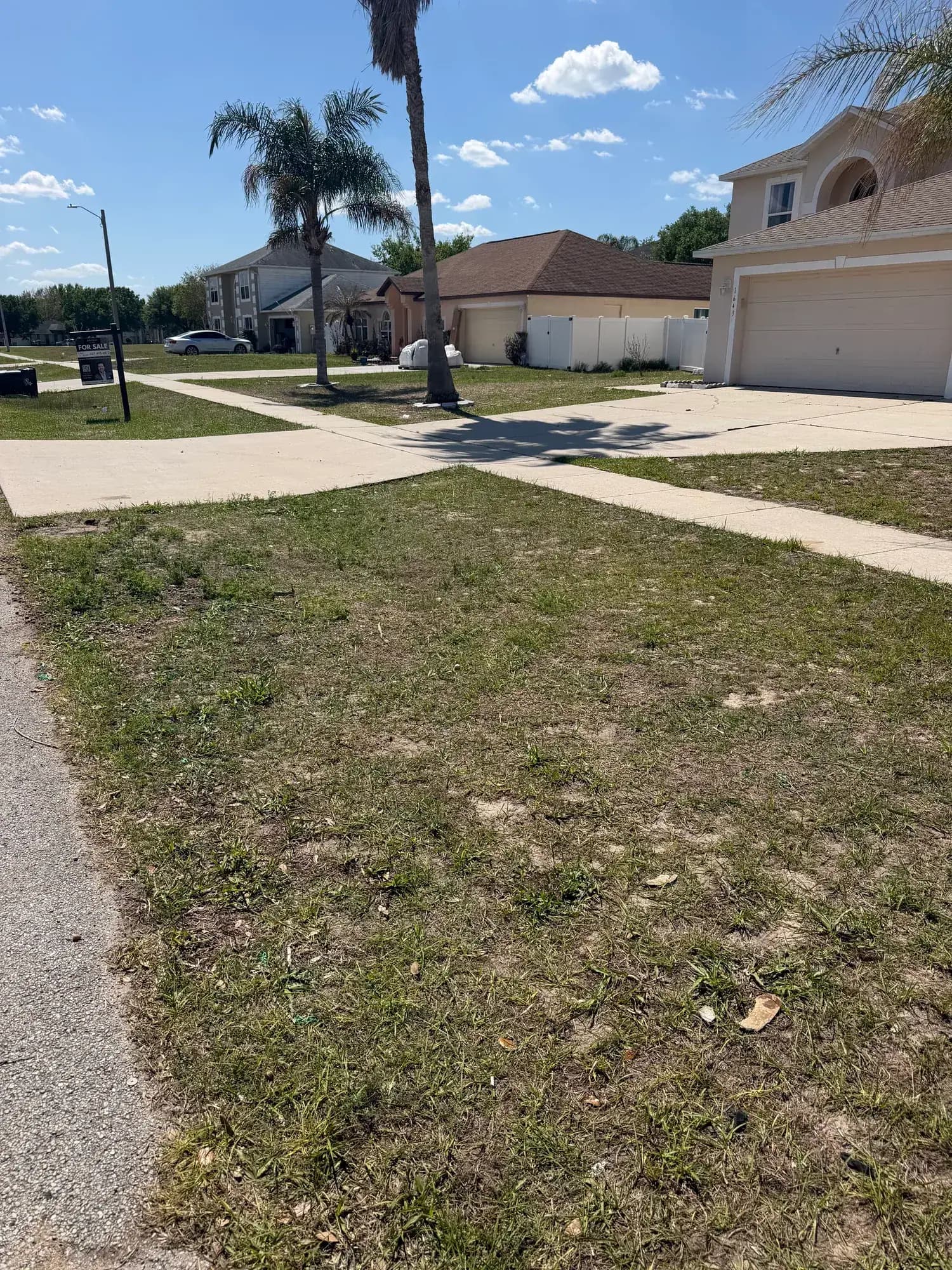 After: the same Mascotte, FL lawn cleared by Big Rob's Hauling under an hour later