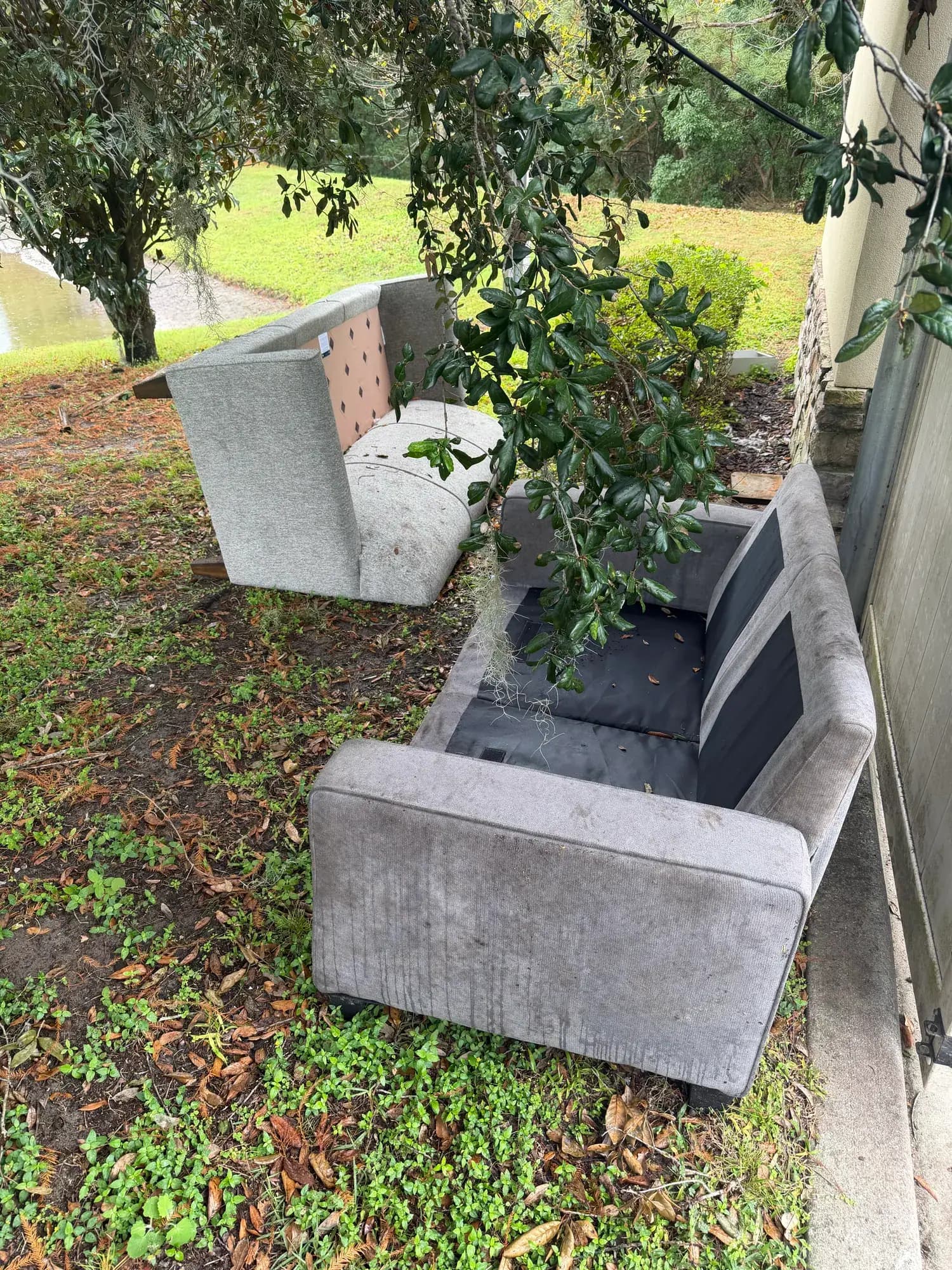 Before: a couch and loveseat dumped in a side yard in Ocoee, FL