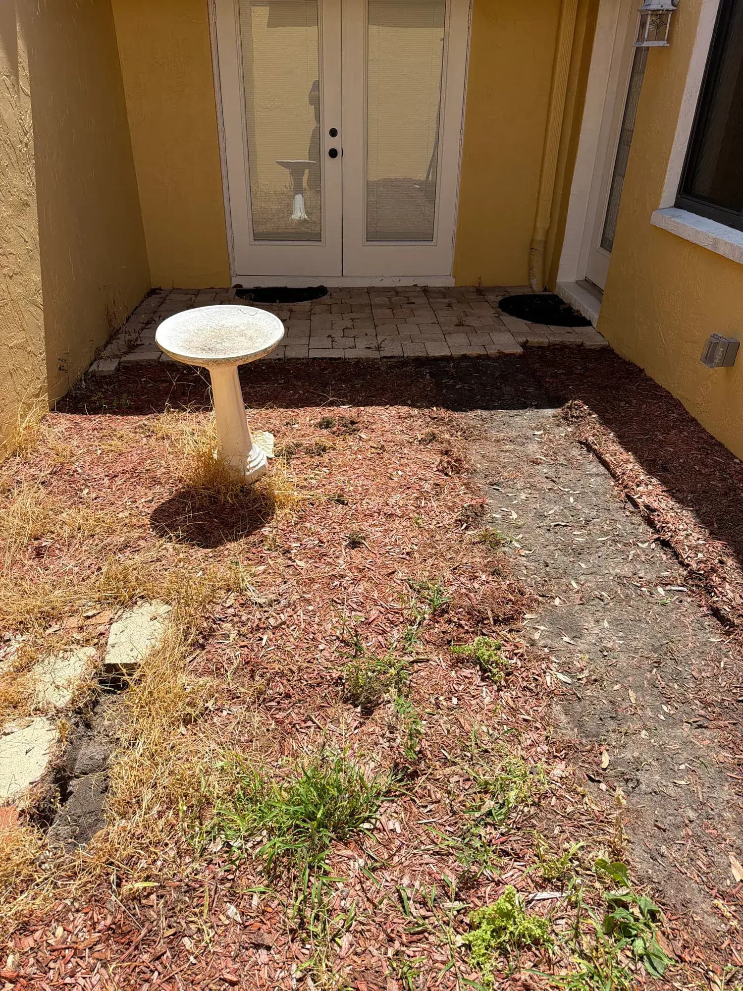 Before: a Winter Haven, FL patio with a birdbath, mulch beds and old edging before landscape demo