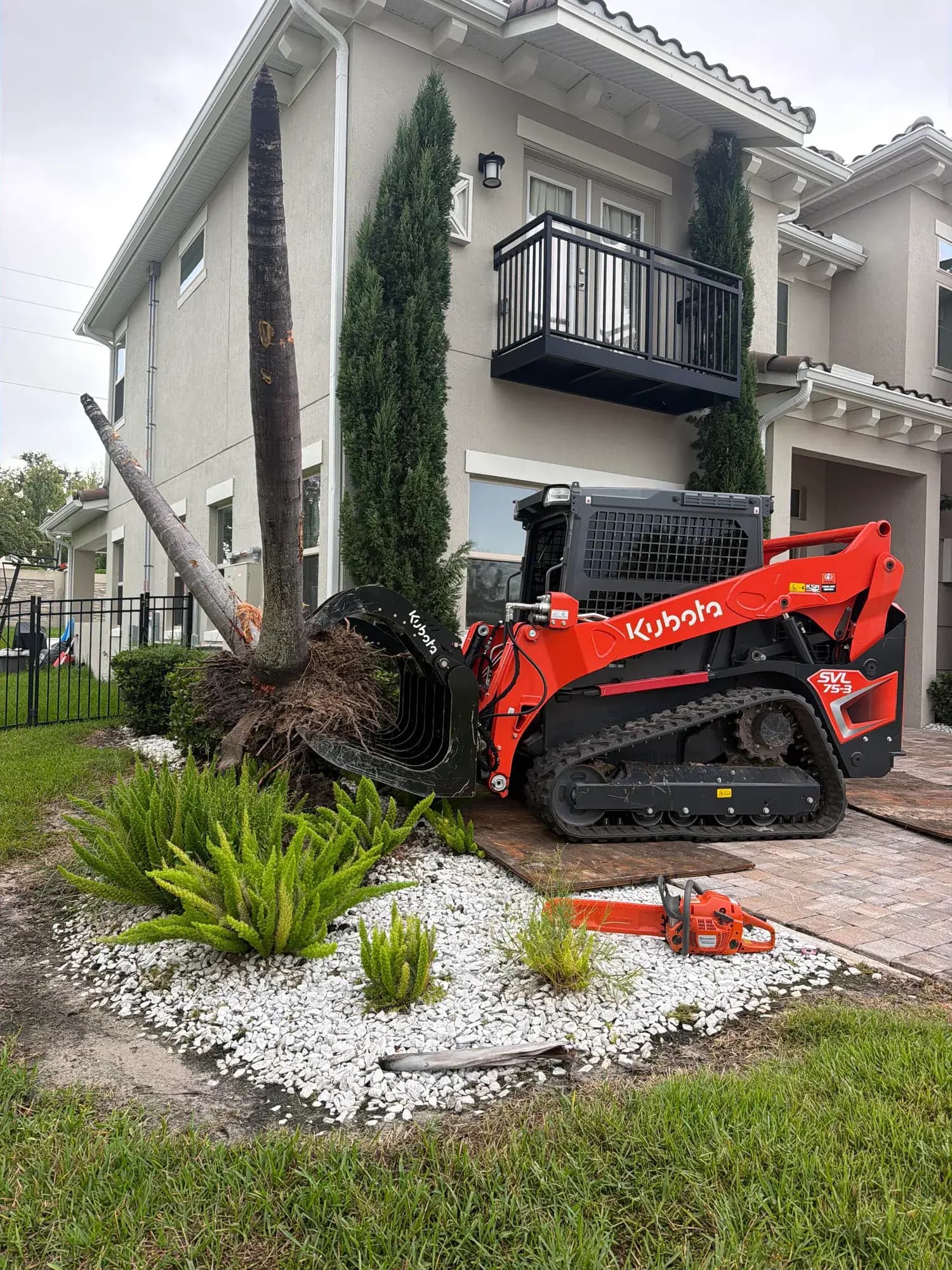 Big Rob's Hauling's Kubota SVL75 pulling a palm out by the roots on a Central Florida landscape demolition