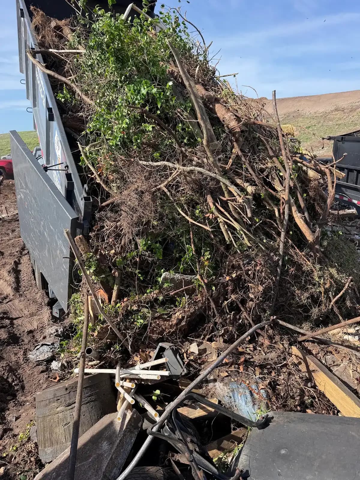 Tree limbs and brush from an Orlando, FL yard heaped in the Big Rob's Hauling dump trailer at the landfill