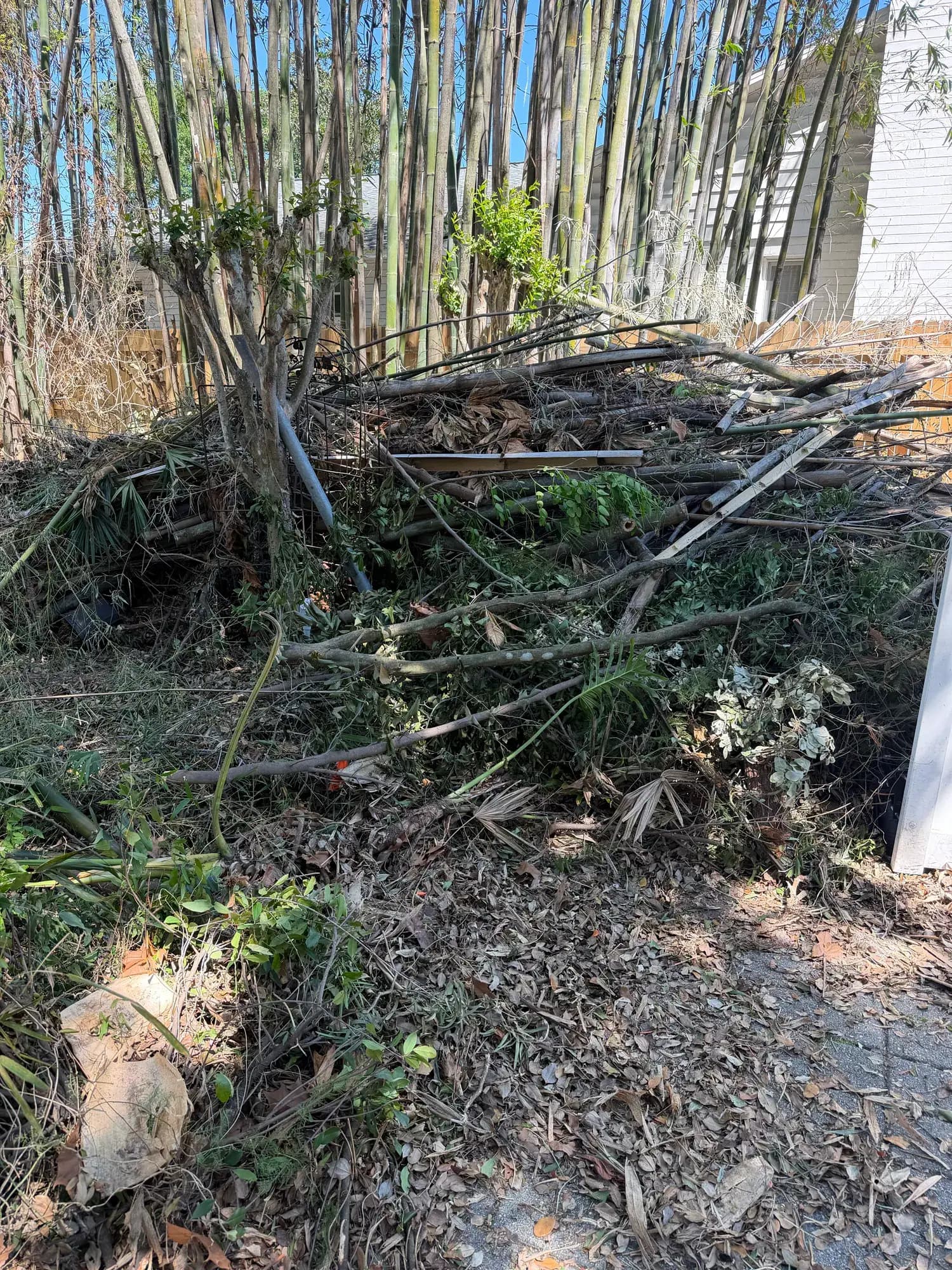 Brush, palm fronds and yard debris piled for Big Rob's Hauling pickup in Orlando, FL
